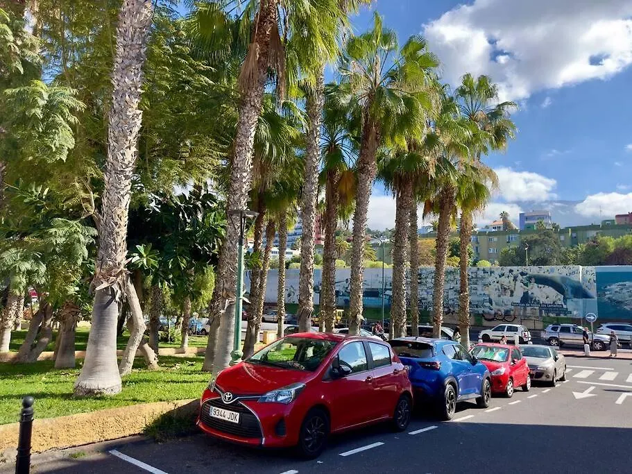 Centric And Bright Apartment - Puerto De La Cruz إسبانيا